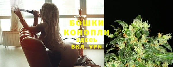 2c-b Бородино