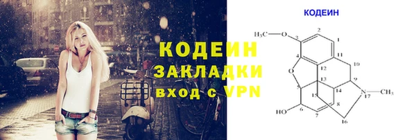 2c-b Бородино