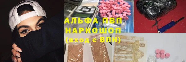 прущие грибы Бугульма