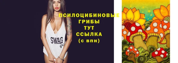 прущие грибы Бугульма