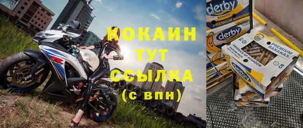 2c-b Бородино