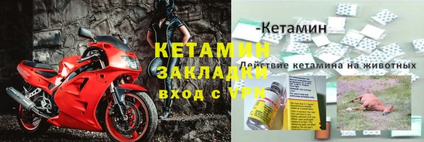 2c-b Бородино