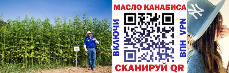 Купить закладки  Павловск  ТГК вейп 