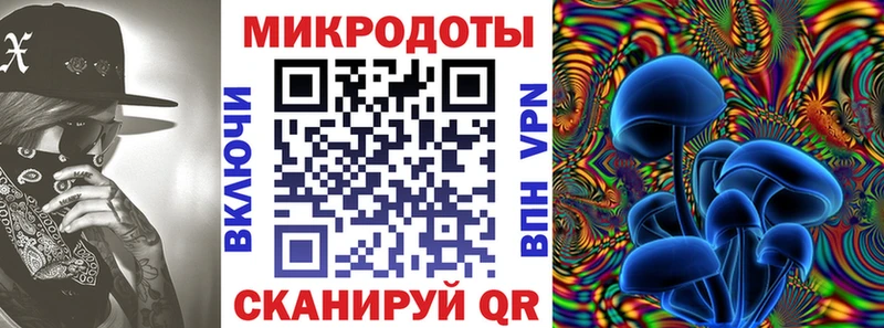 Купить закладки  Павловск  Псилоцибиновые грибы мухоморы 